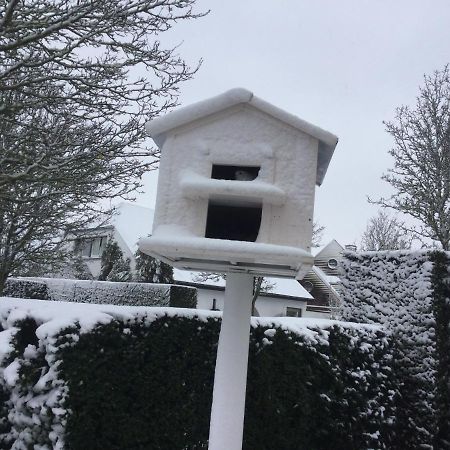 B&B Colombe Blanche Knokke-Heist Dış mekan fotoğraf