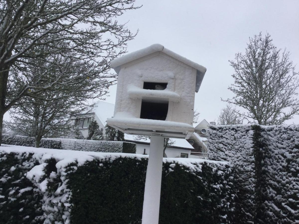 B&B Colombe Blanche Knokke-Heist Dış mekan fotoğraf